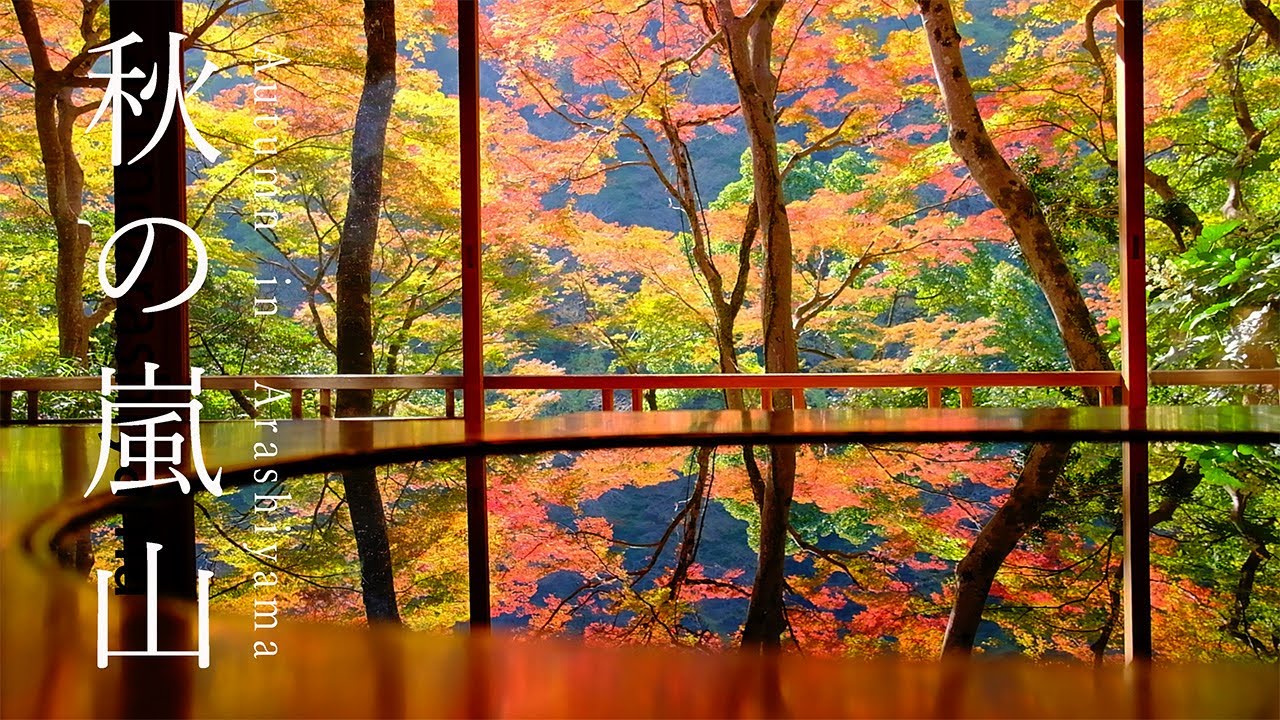 【保存版】まるで絵画のような京都 絶景紅葉20選🍁嵐山編