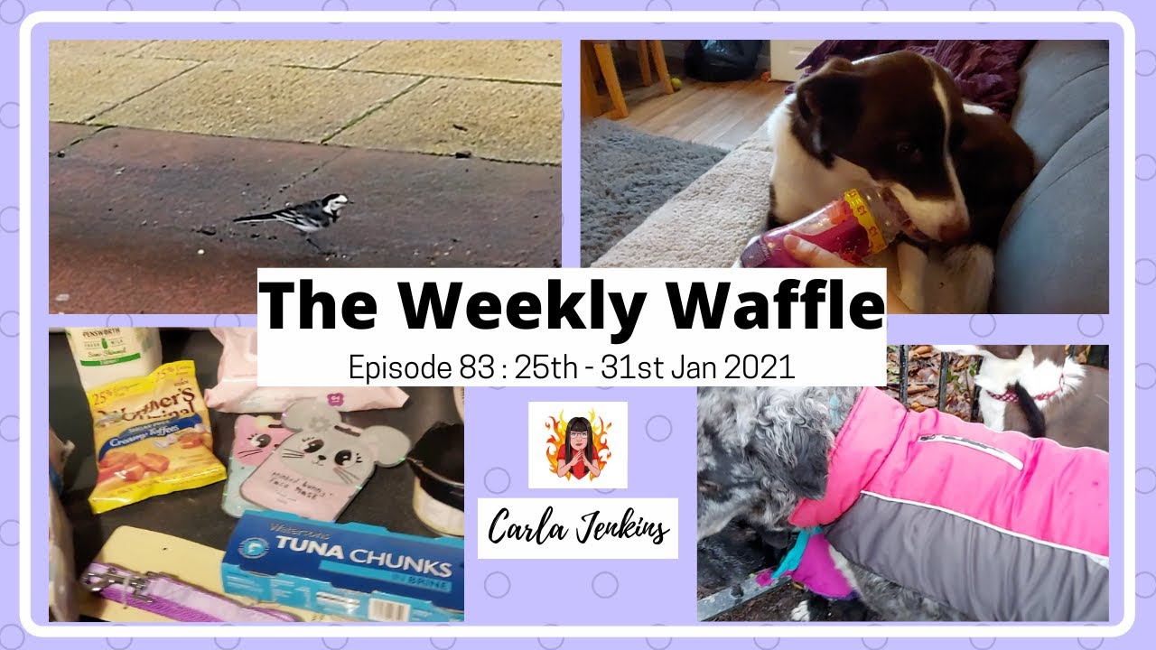 THE WEEKLY WAFFLE EP: 83 - Taking the car for the MOT - that's a Day OUT, right?