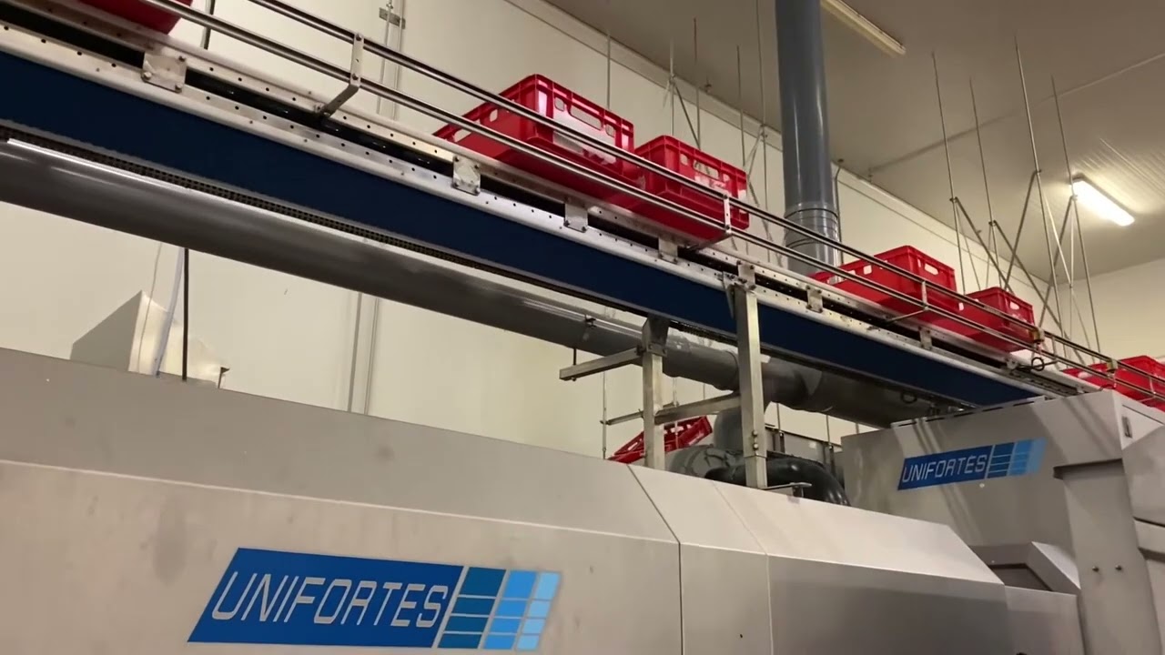 Unifortes crate washer at Bens N.V.: washing 1500 meat crates per hour