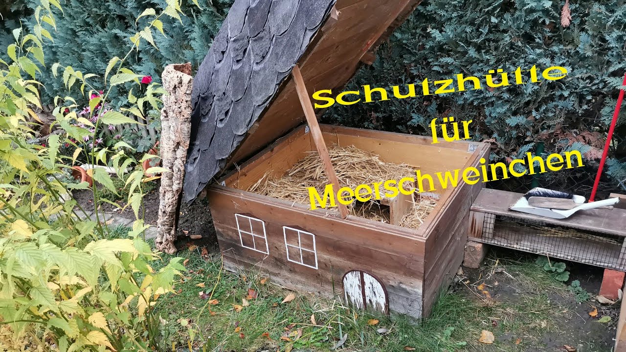 Brauchen Meerschweinchen eine Schutzhütte? Wo schlafen Meerschweinchen ? Infos zu meiner Schutzhütte