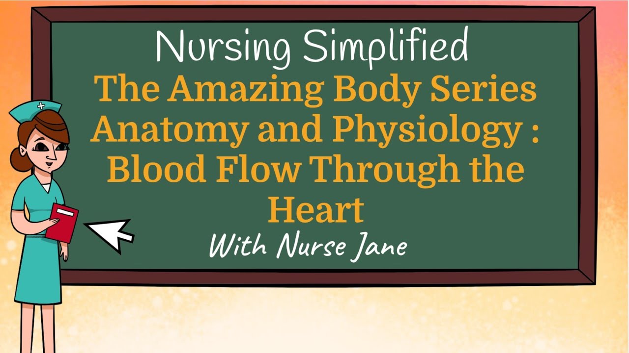 Blood Flow Through the Heart the EASY Way!  Rooms, Doors, Hallways and the House of the Heart!