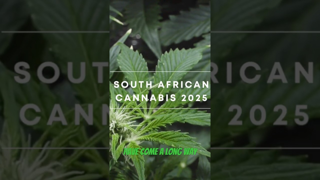 Is Cannabis Legal in South Africa in 2025?
