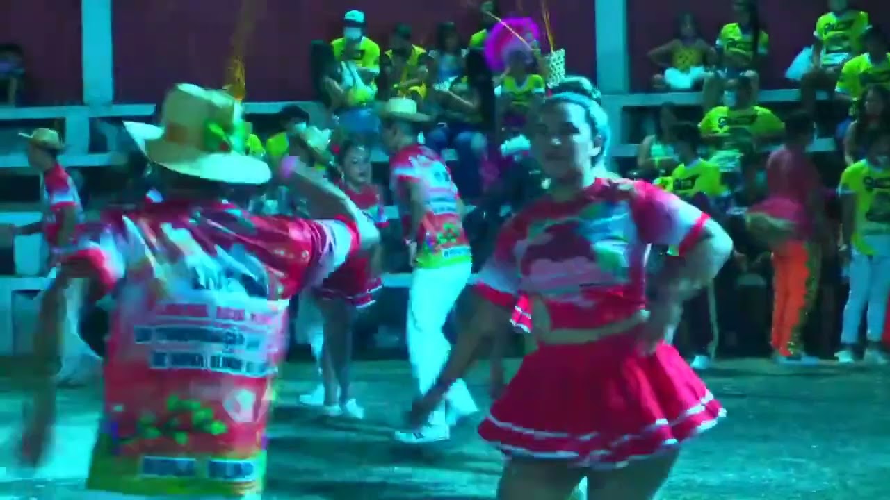 Seu manelinho ( reprise) -Ciranda Rosa vermelha 2020🌹❤️🤍