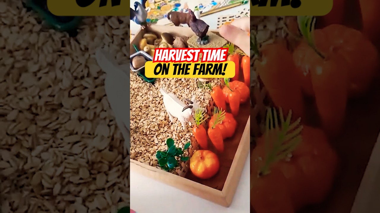 Harvest time on the farm!  