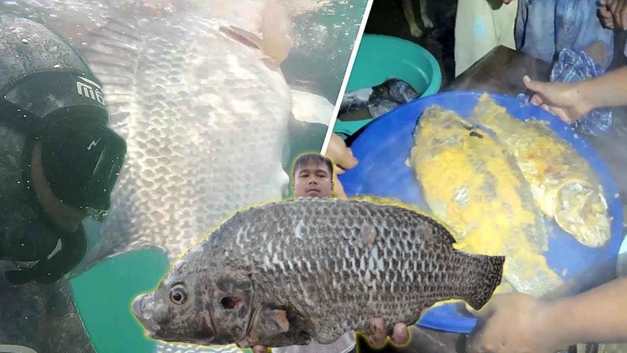 NILA MONSTER Dari Spot Jurang TERTANGKAP!! | LANGSUNG BAKAR & PEPES | Spearfishing Danau Toba