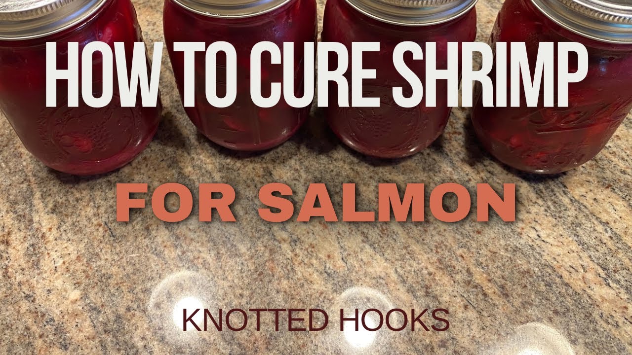 Easiest way to brine Shrimp & Prawns for Salmon and Steelhead Fishing..