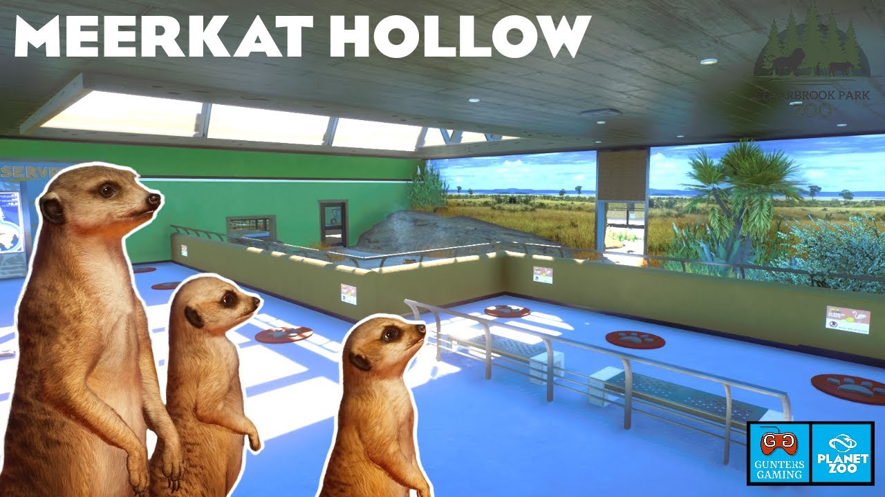 Building The Ultimate Meerkat Hollow | Cedarbrook Park Zoo | Planet Zoo