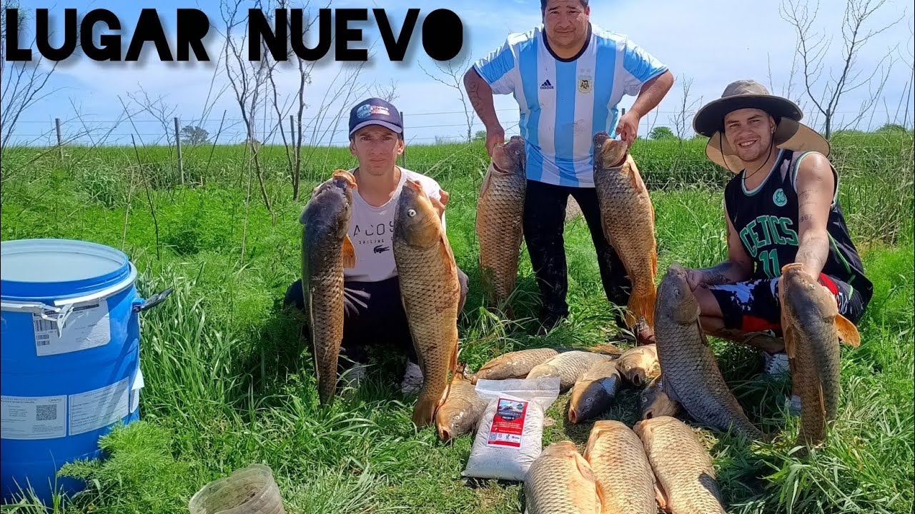 LUGAR NUEVO CON CARPONES ENORMES DE 10 KILOS #HARINADOSLG #suscribete #riosalado