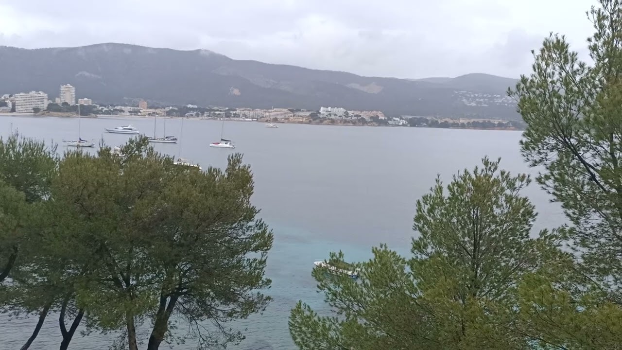 Mallorca en primavera
