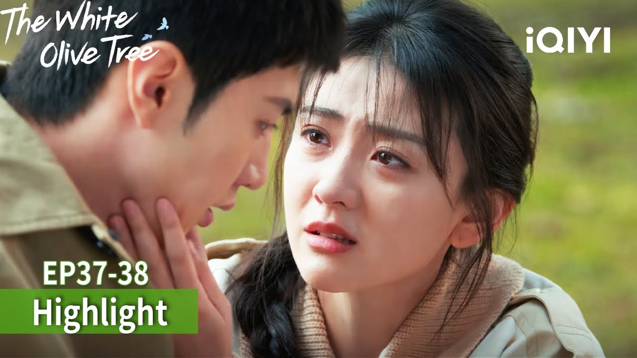 My only wish is to marry her💍  | 🕊️The White Olive Tree | iQIYI Philippines