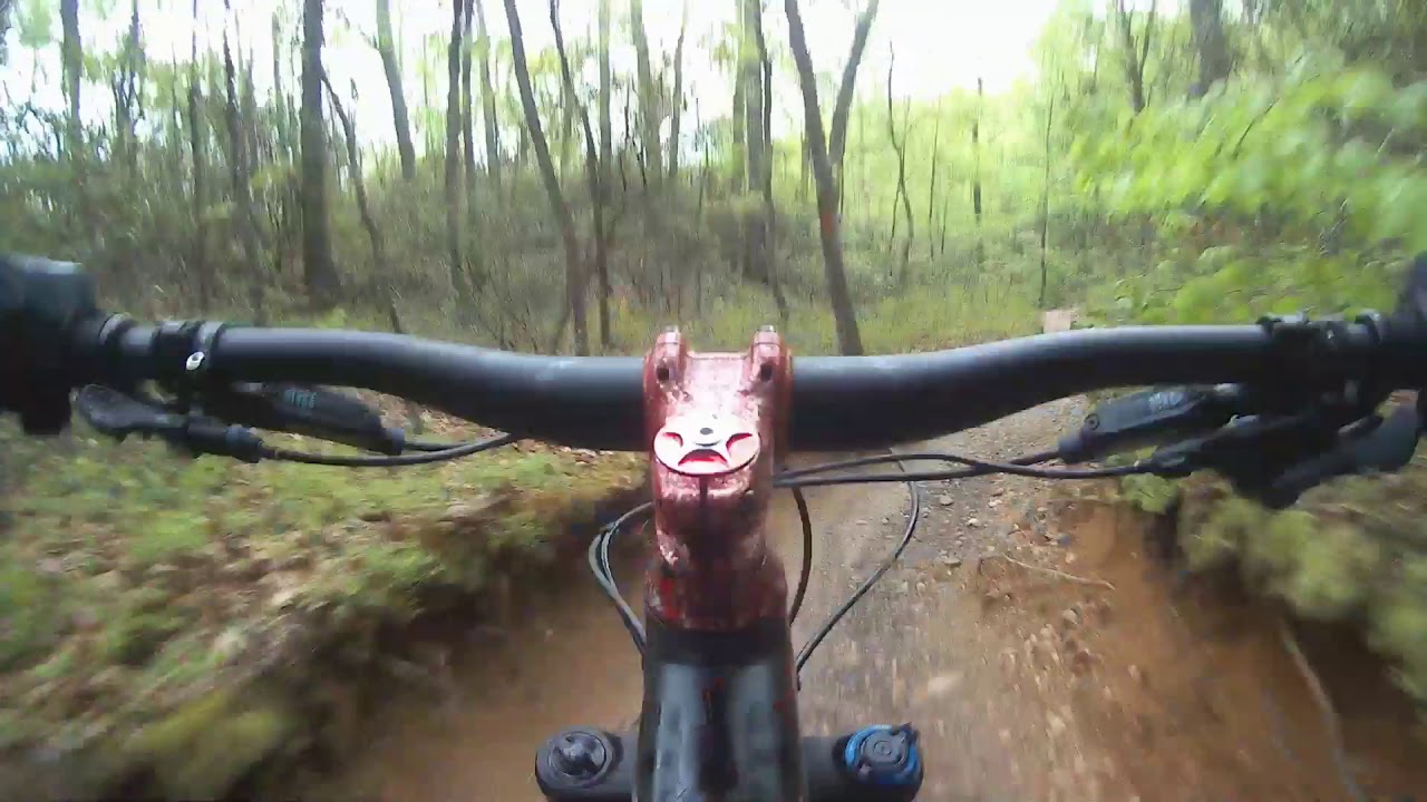 YT Capra AL 27.5 at Stillwell Woods MTB trail Long Island, NY