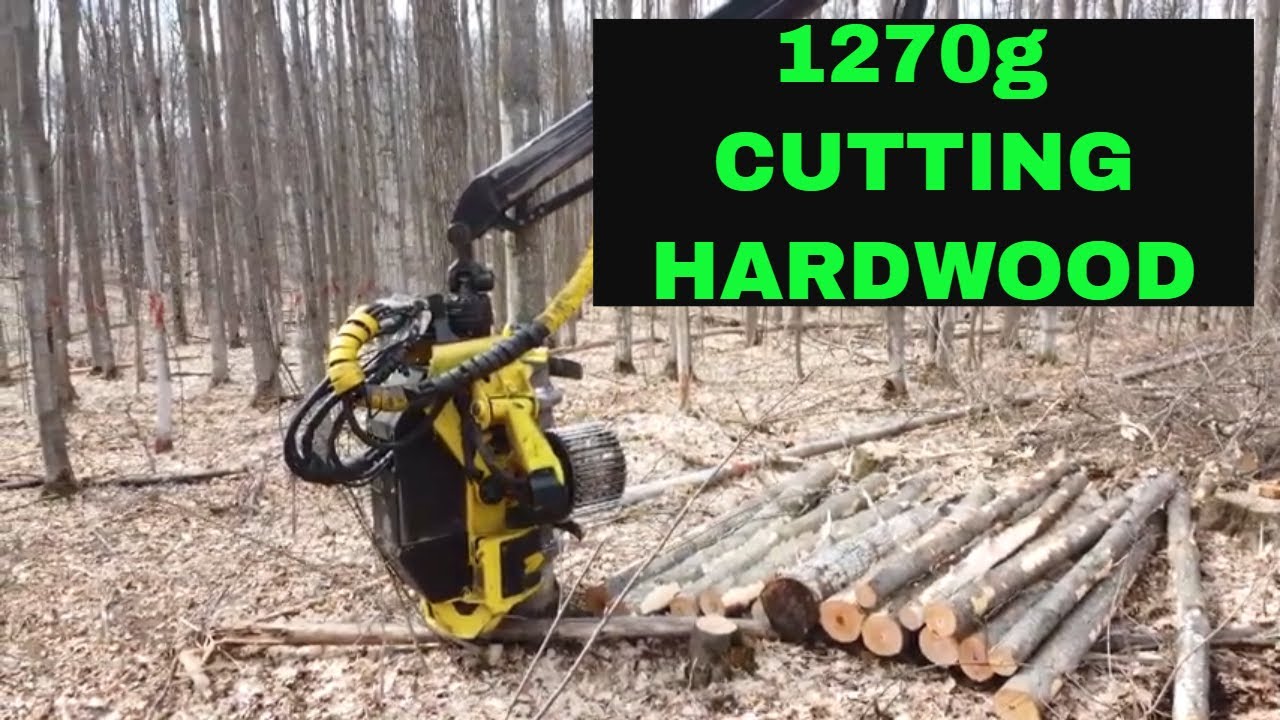 1270g John Deere wheel harvester cutting hardwood DRONE FOOTAGE