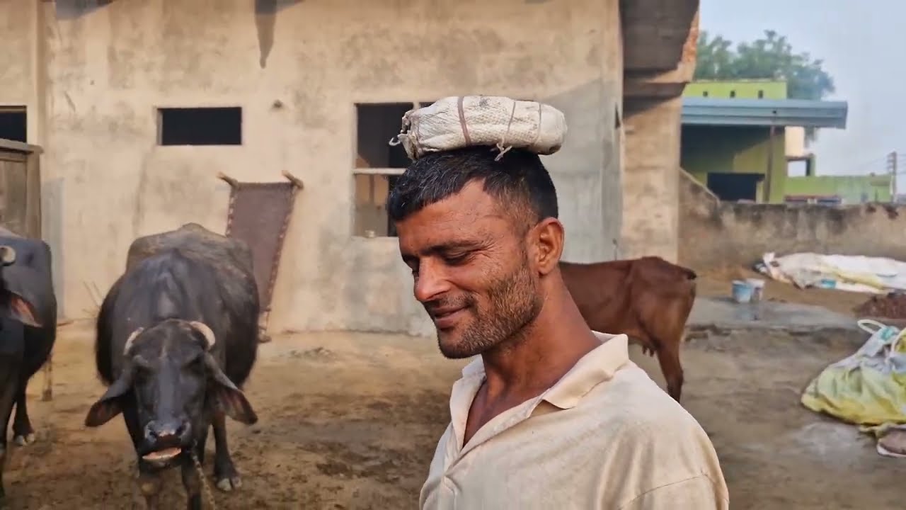 Sunder Sangwan ne subh dudh Piya manjeet ne aaj ghar ka kya kam Kiya ghar ka kam rukne ka Karan vedo
