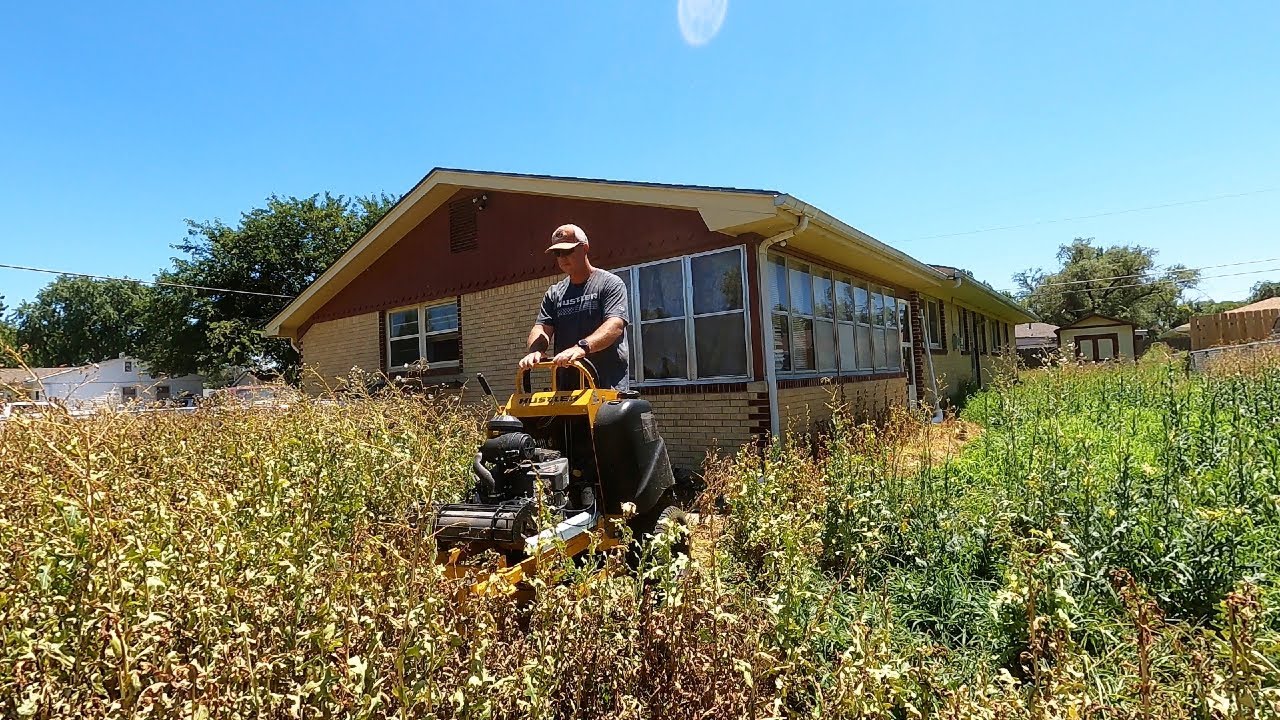 Random Homeowner SHOCKED At Lawn Transformation