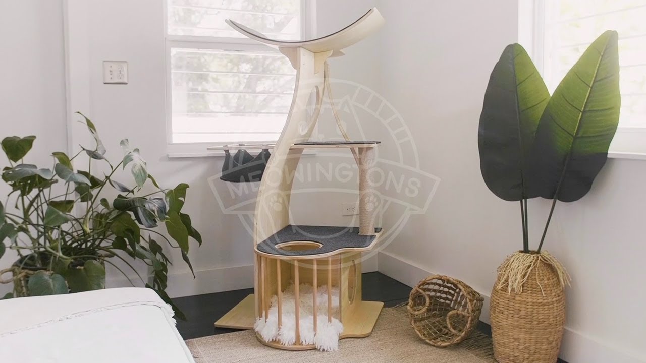 Meowingtons Jungle Gym Cat Tree Condo Assembly Instructions