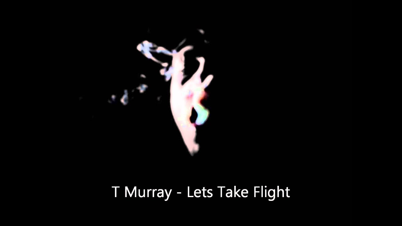 T Murray - Lets Take Flight