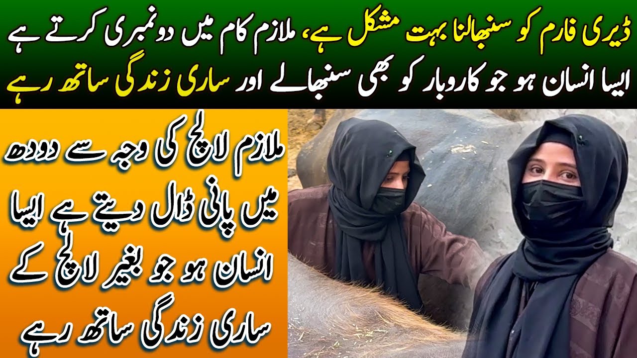 Dairy Farm Sambhalna Bhot Muskil ho gaya ha | Aman Pakistan