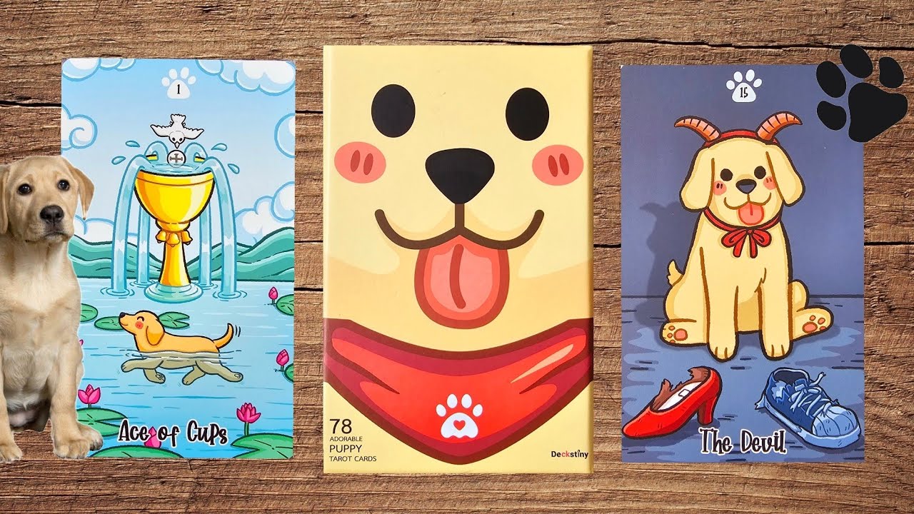 🐶🐾 Le Labradorable tarot de @deckstiny un tarot trop cute 🐾🐶