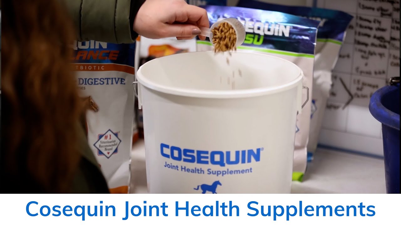 Cosequin Equine joint health supplements