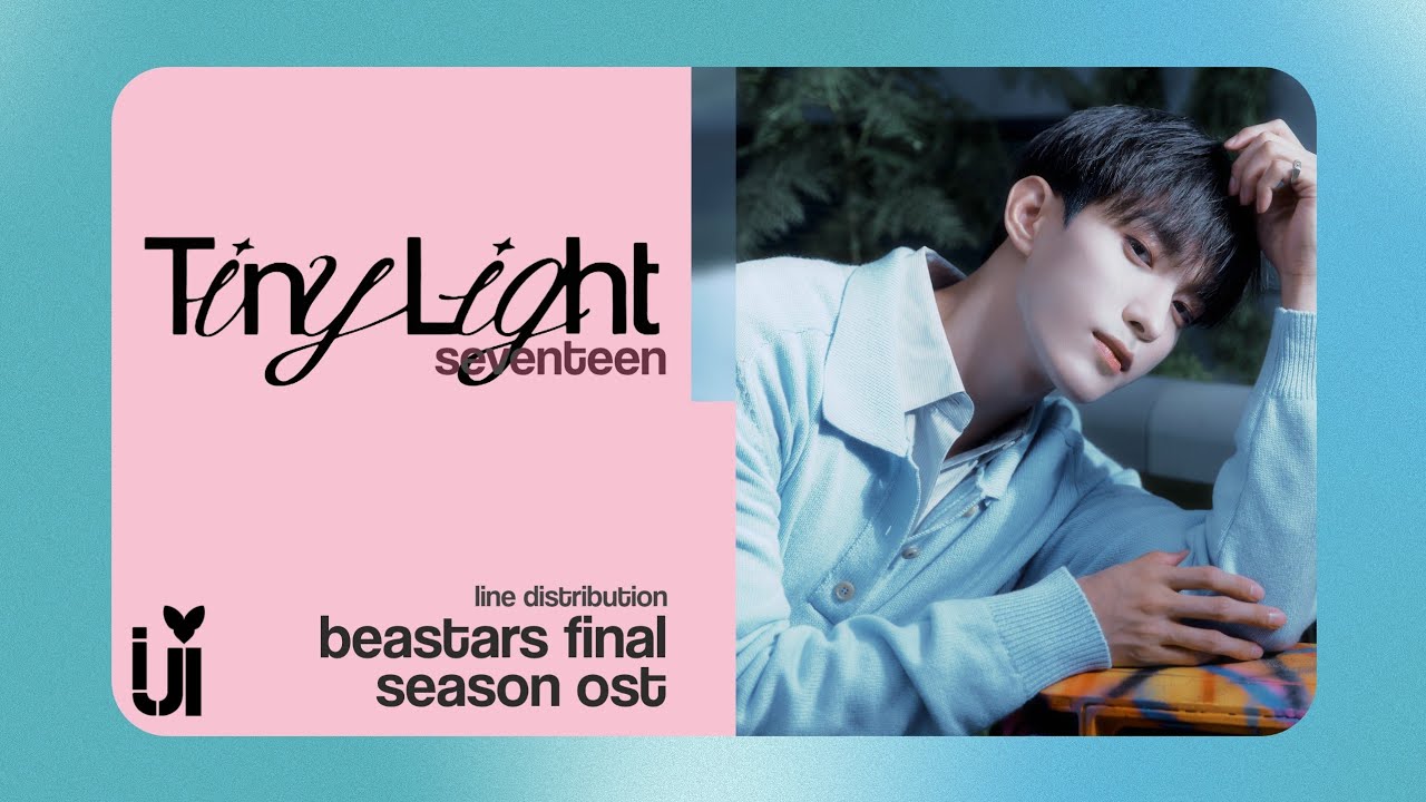 TINY LIGHT (SEVENTEEN) - LINE DISTRIBUTION