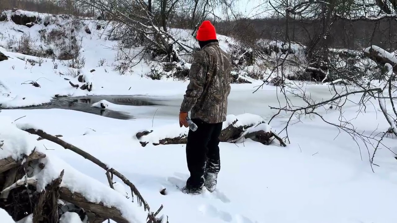 A walk through the woods to the creek. Take II