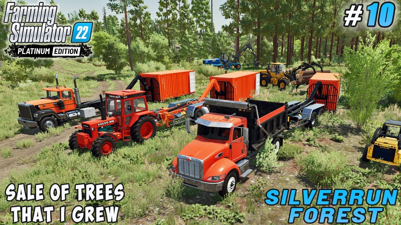 Selling the trees thet I grew, buying shipyard and sheep | Silverrun Forest | FS 22 | Timelapse #10