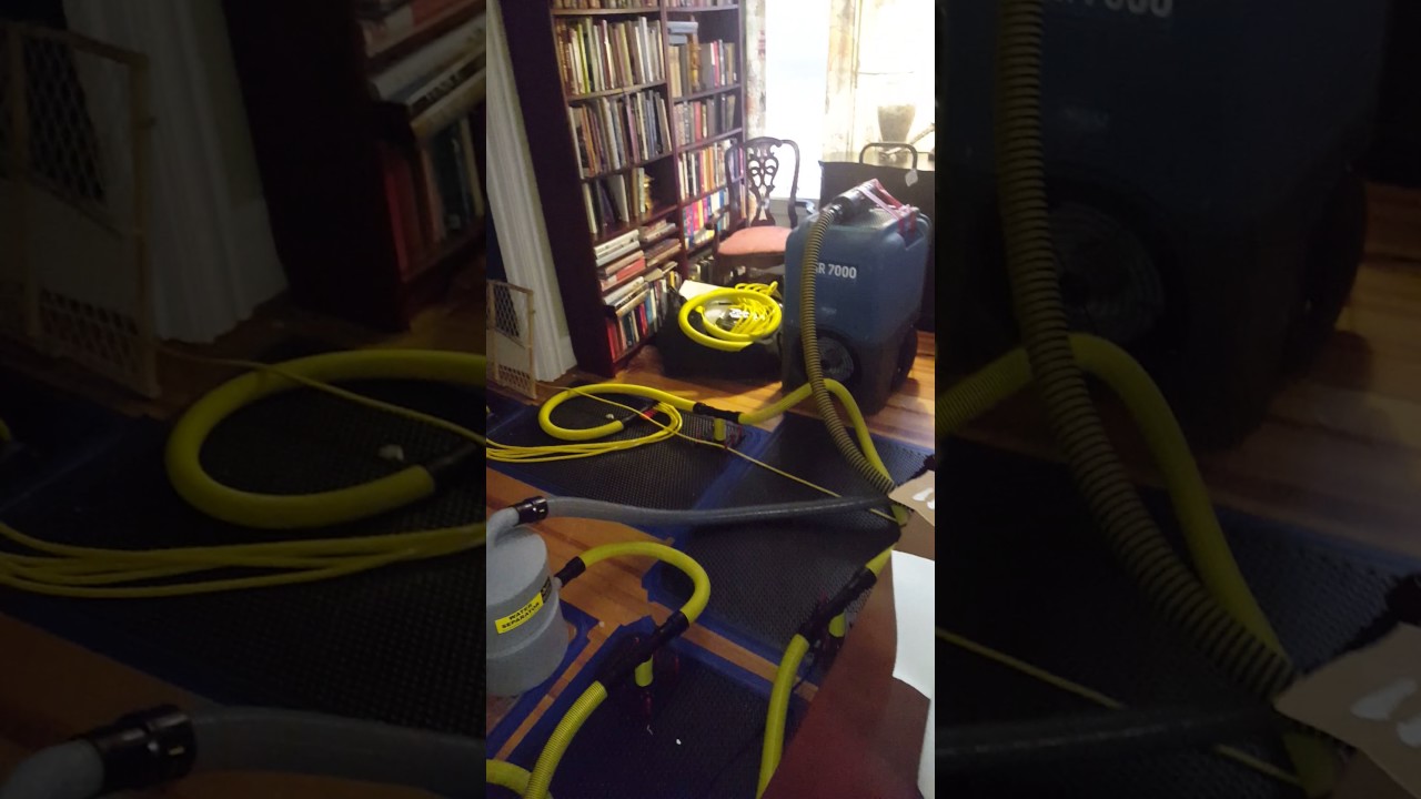 Hardwood drying in Denver