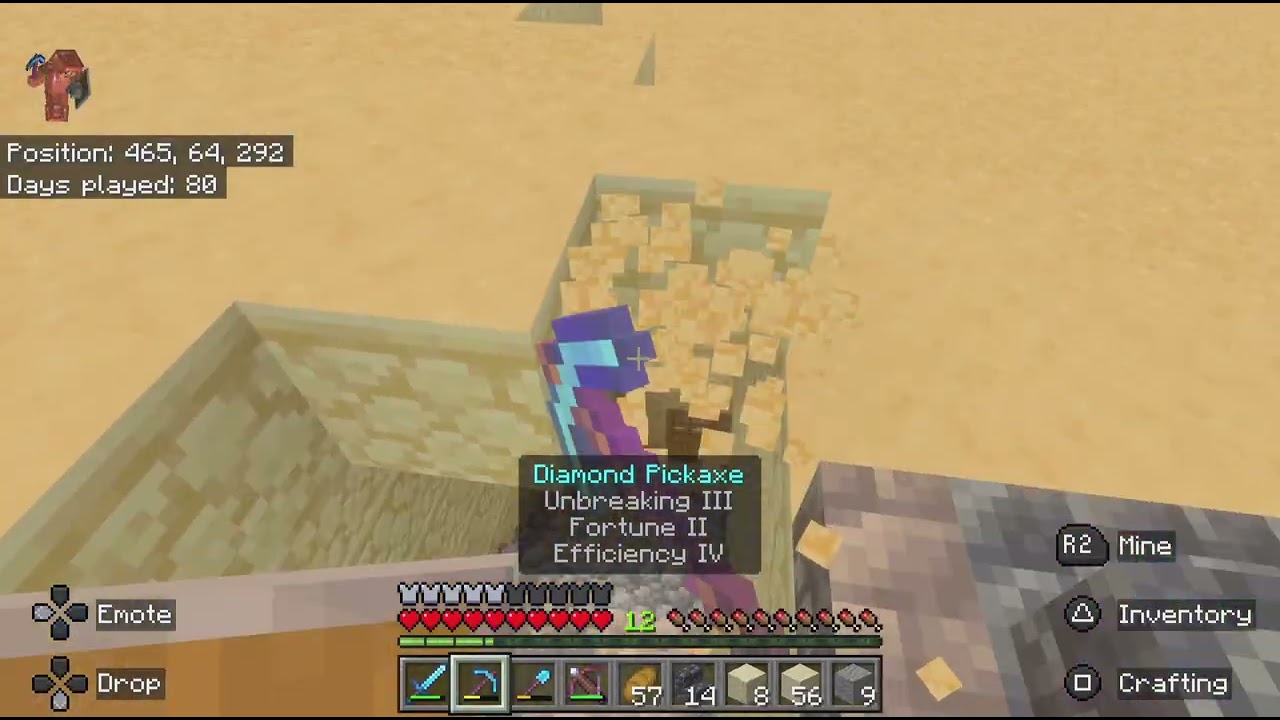Day 35 of playing Minecraft 30 minutes every day