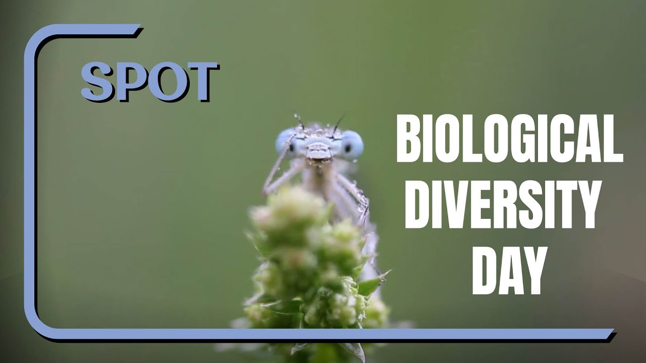 International Day for Biological Diversity