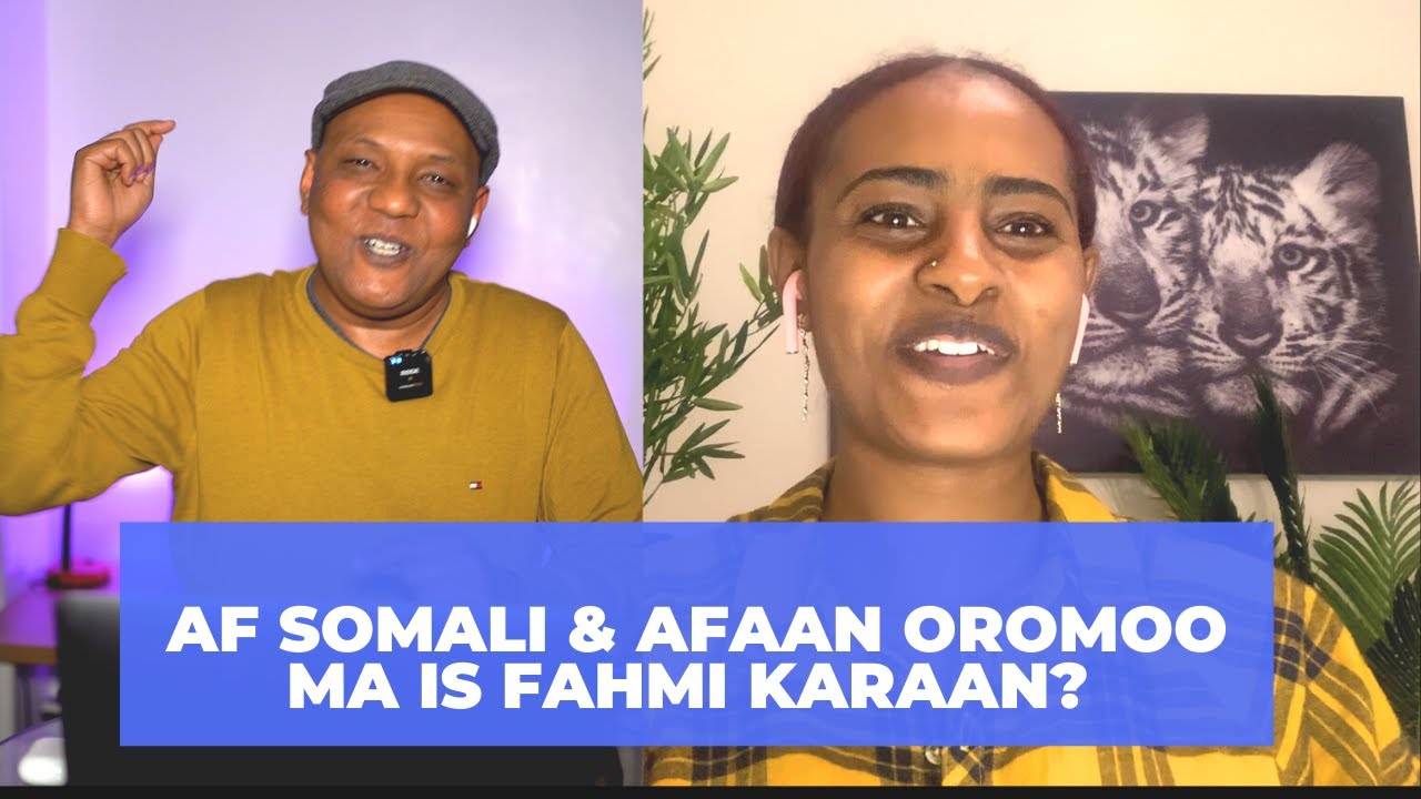 Naji Show- Similarities Between Somali and Oromo- af Somali & afaan Oromoo ma is fahmi karaan?