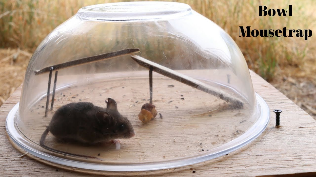 A Bowl Mousetrap Patented 118 Years Ago. Mousetrap Monday
