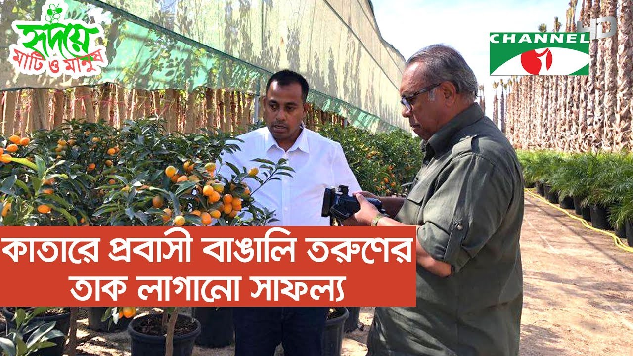 কাতারে প্রবাসী বাঙালি তরুণের নার্সারি উদ্যোগ ও সাফল্যের গল্প | Shykh Seraj | Channel i |