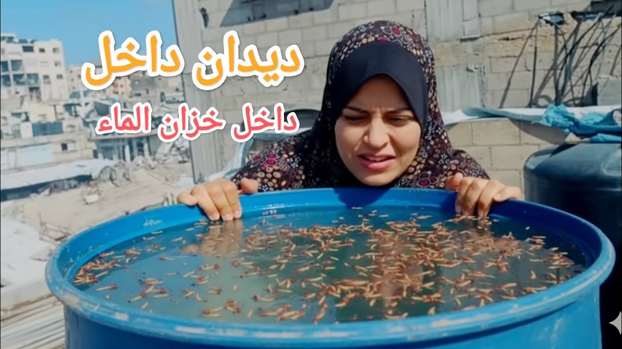  ربنا ستر وتخلصنا منها 🤮وصلنا طرد متنوع بس ي فرحة ما تمت 😔