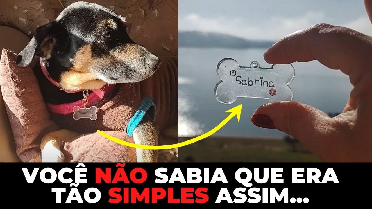 COMO FAZER - TAG DE IDENTIFICAÇÃO PET PERSONALIZADA! (O MÉTODO MAIS SIMPLES E COMPLETO)