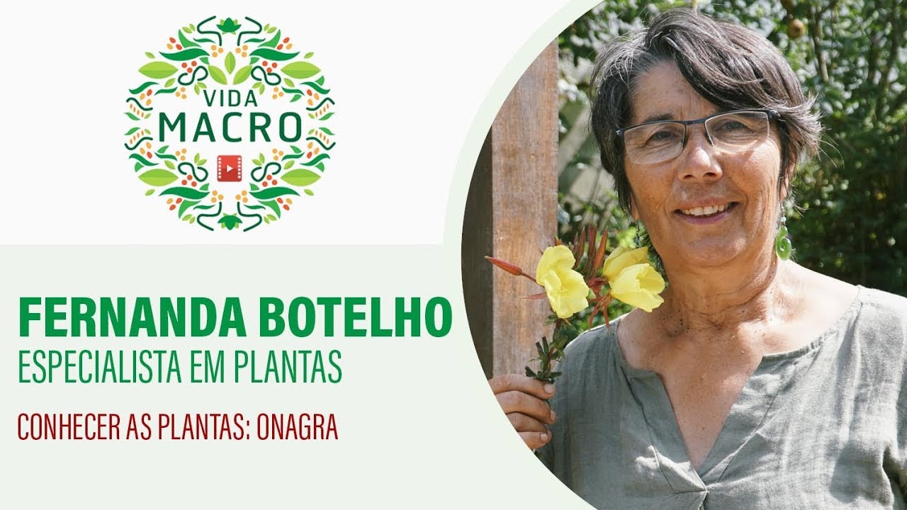 Fernanda Botelho // Onagra
