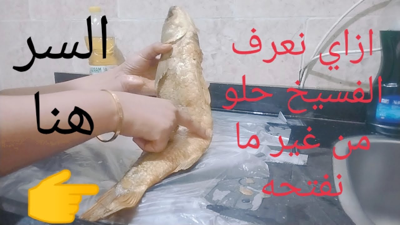 كيف أعرف #الفسيخ حلو وصالح للاكل أو لايصلح وهوا مقفول السر عندى هنا