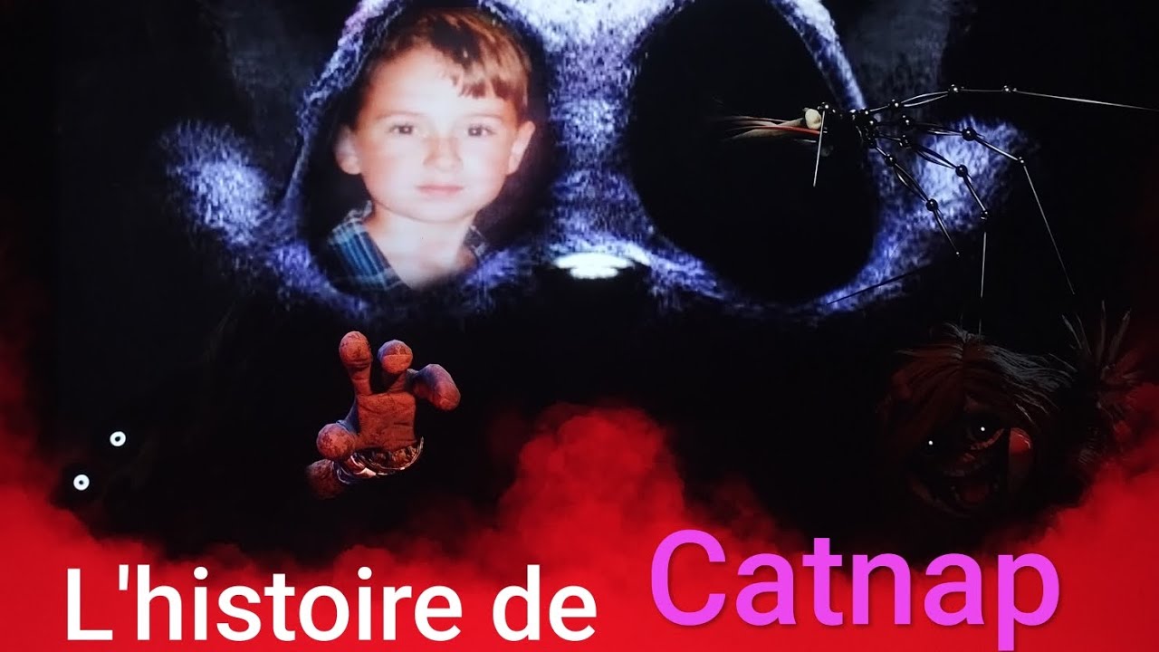 Quel est L'HISTOIRE DE CATNAP (passé+ théorie)