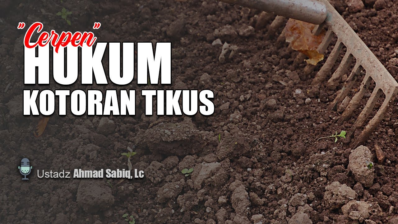 (CERPEN) Hukum Kotoran Tikus - Ustadz Ahmad Sabiq, Lc