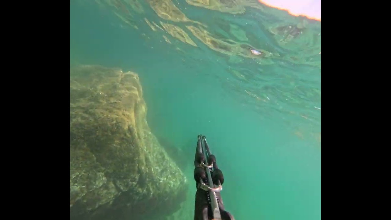 Spearfishing in Cascais