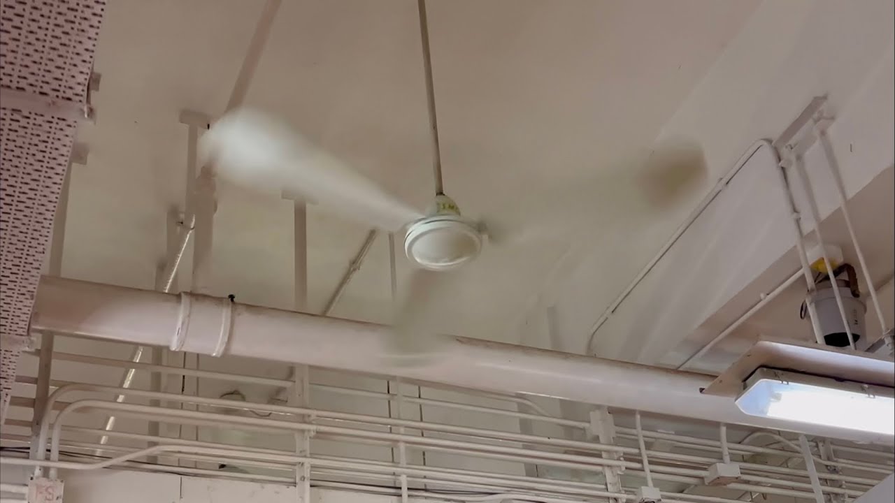 Newer SMC K56 and K48 industrial ceiling fans, ft. SMC and high velocity Wing Ton wall fans
