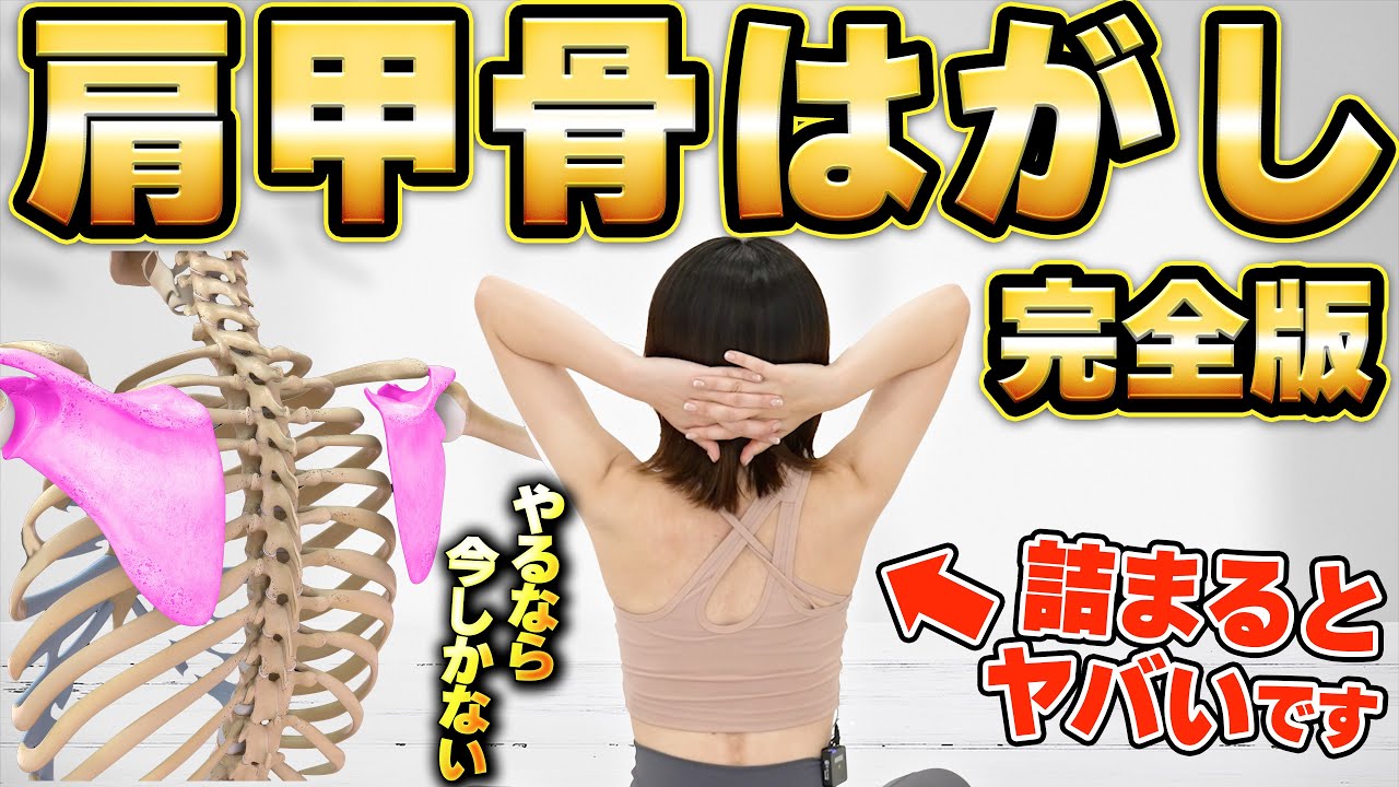 【2023完全版】肩甲骨がバキバキ硬い人向け！一撃でベリベリ剥がれる究極の肩甲骨剥がし