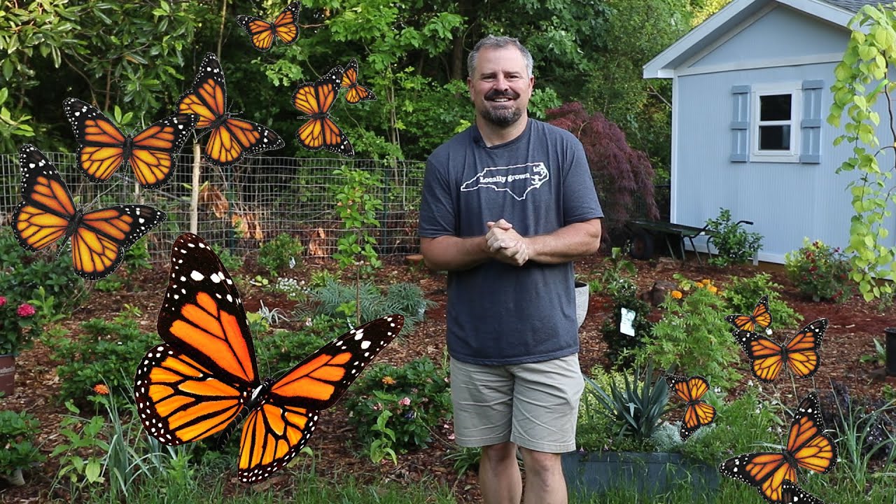 Butterfly Attracting Flowers - 🦋🌻🌼