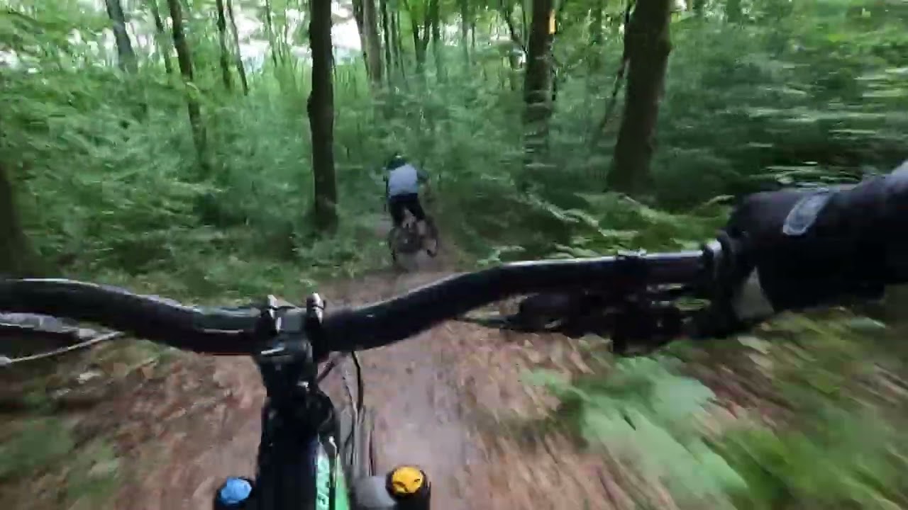 Mountainbike Aachen Stadtwald Early Bird