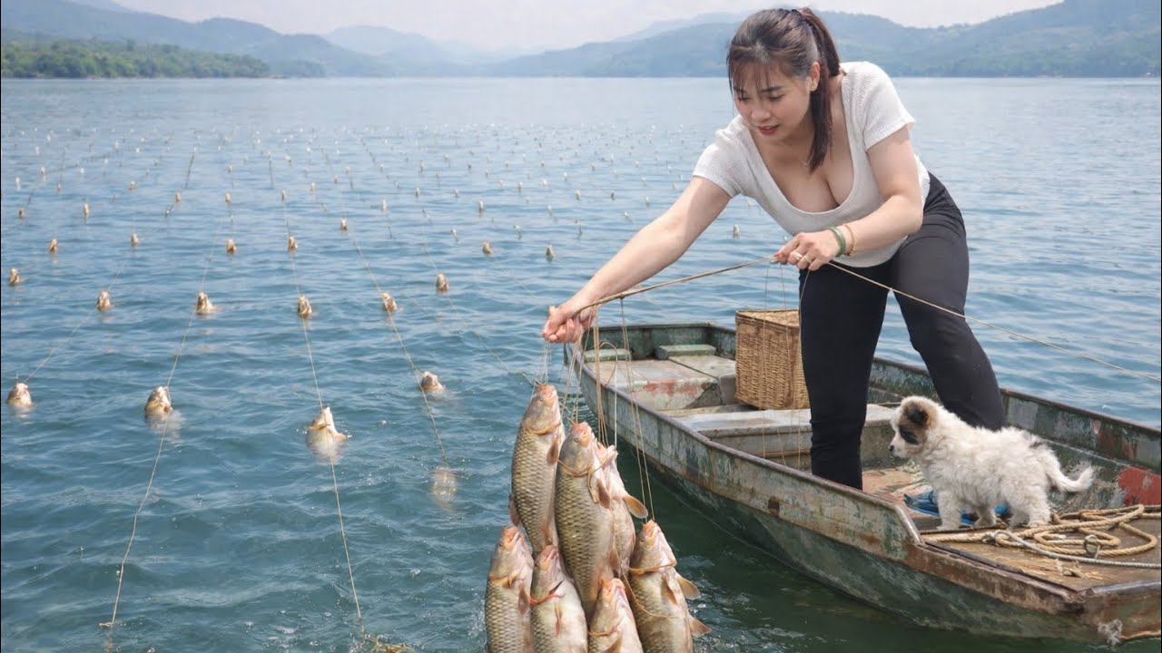 Beautiful Girl Sets 100 Hooks on a Vast Lake – Huge Carp & Tilapia Harvest!