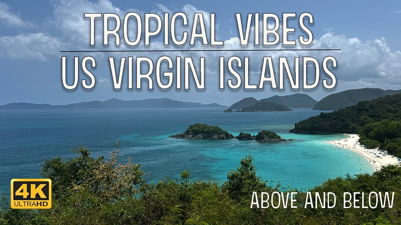 Virgin Islands - Tropical Vibes - Above/Below