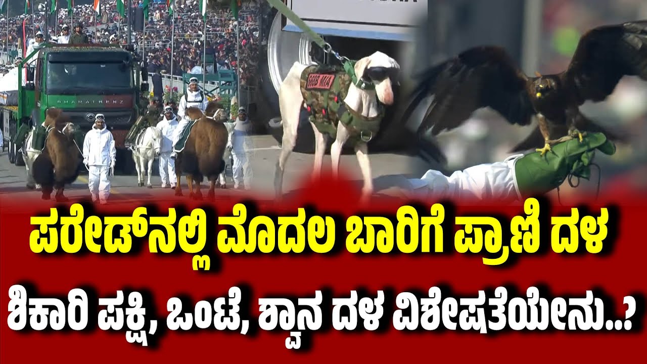 ಮೊದಲ ಬಾರಿ ಪರೇಡ್‌ನಲ್ಲಿ  ವಿಶೇಷ ಪ್ರಾಣಿ ದಳ ಭಾಗಿ । Indian Army। Animal contingent | 77th Republic Day