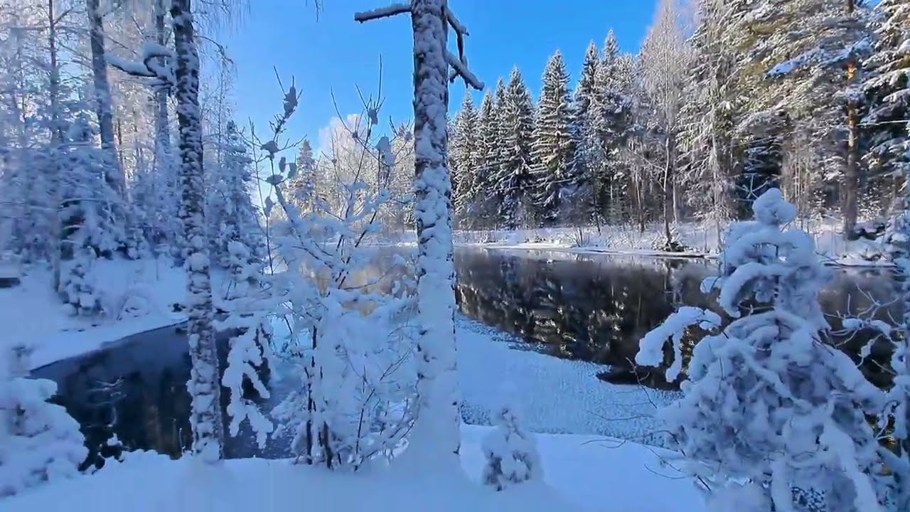 Talvimaisemia Kissakoskelta