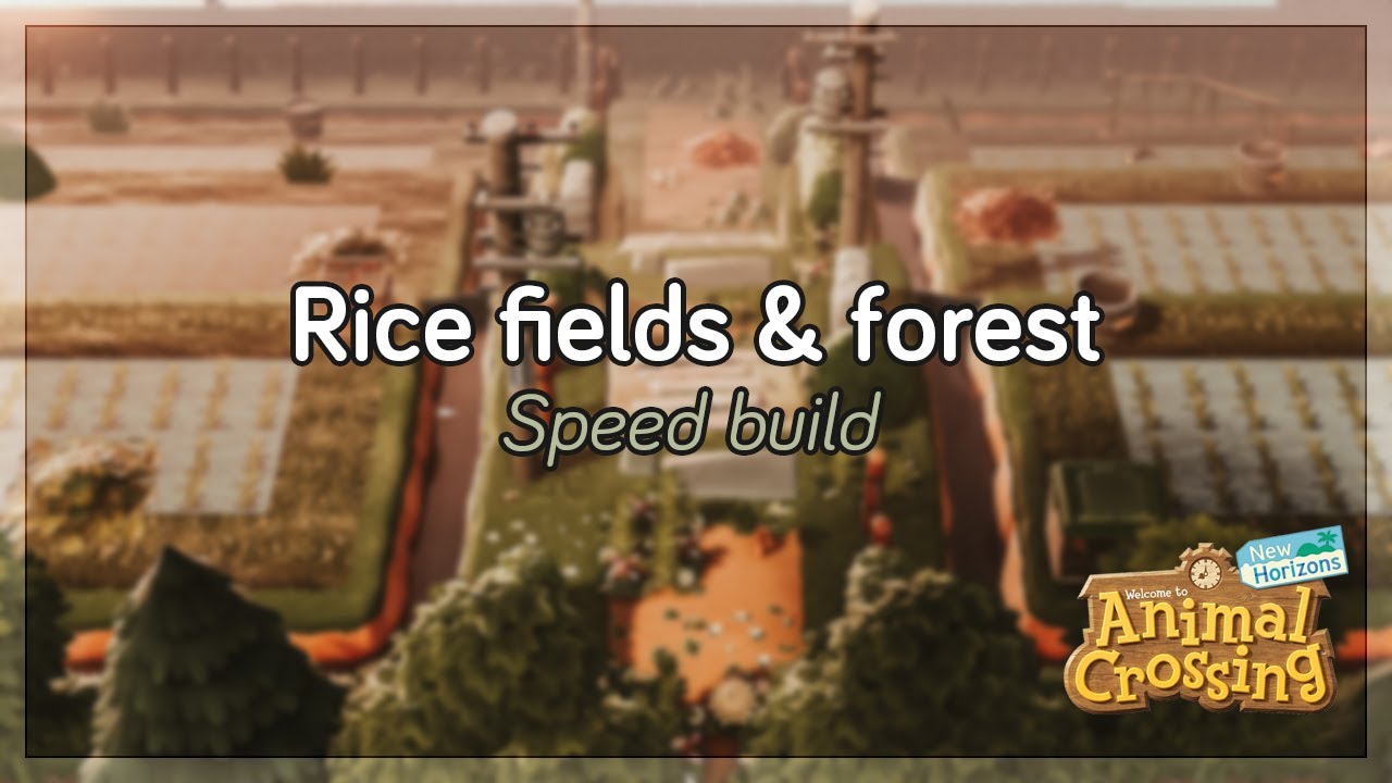 Rice Fields 🌱 (speed build) // Japanese Island // Animal Crossing