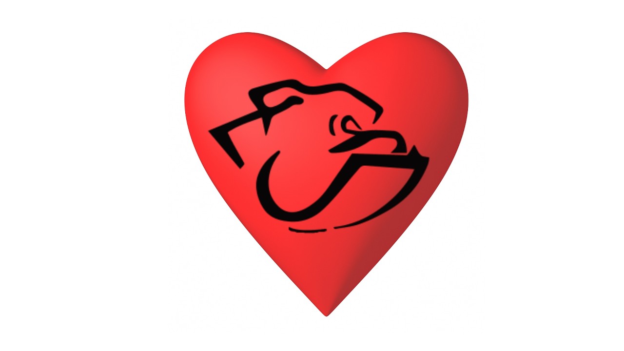 PawCast- Valentine's Finale