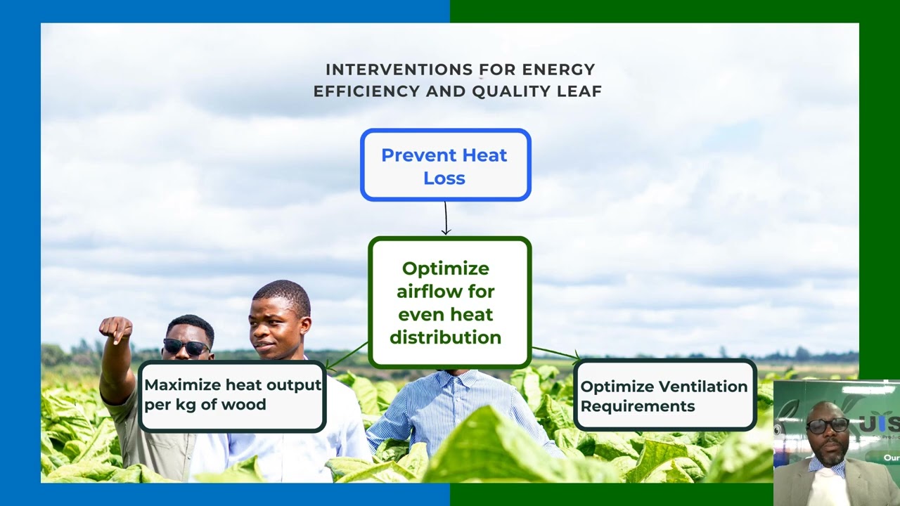 Advancing Energy Efficiency and Leaf Quality in Curing Technologies